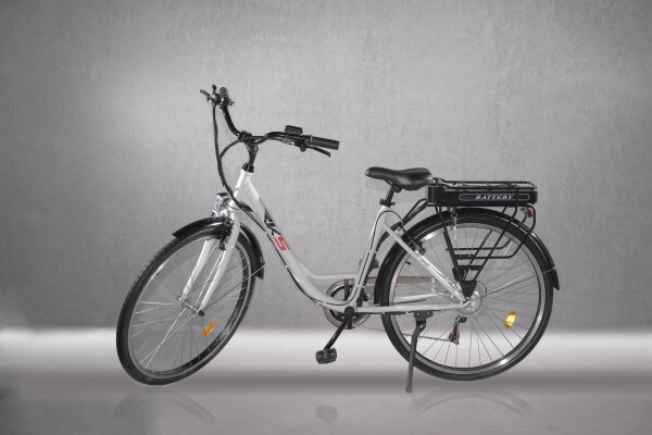 Bicicleta electrica ZF6